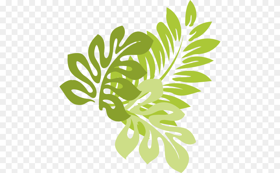 Clip Art Jungle Leaf Clipart Hibiscus Leaf Clipart, Herbal, Herbs, Plant, Food Png Image
