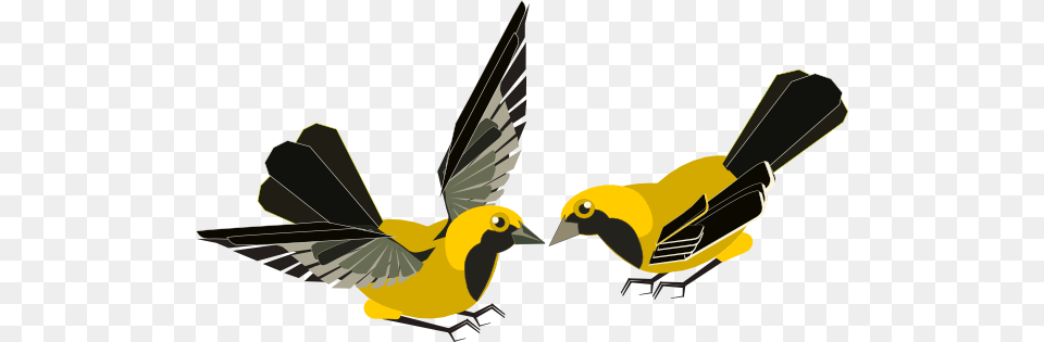 Clip Art Kissing Birds, Animal, Bird, Finch, Beak Png Image