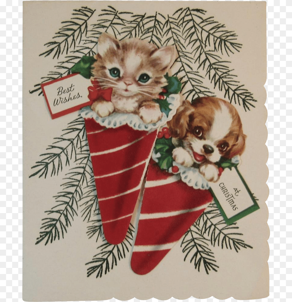 Clip Art Kitty Cat And Puppy, Festival, Christmas, Christmas Decorations, Animal Png Image