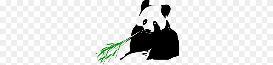 Clip Art Kung Fu Panda Free Clipart Clipartbold, Conifer, Green, Plant, Tree Png