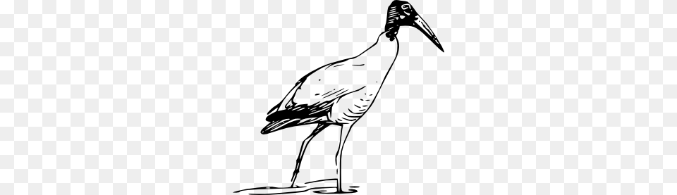 Clip Art Lake Clipart Image, Animal, Bird, Crane Bird, Stork Free Png