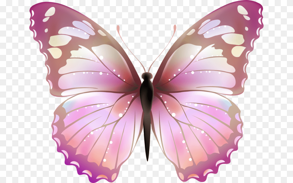 Clip Art Lavender Butterfly, Animal, Insect, Invertebrate Png Image