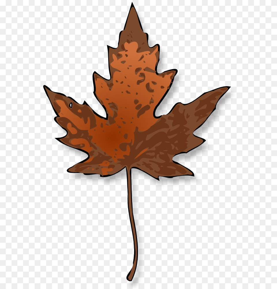 Clip Art Leaf, Maple Leaf, Plant, Tree, Animal Png