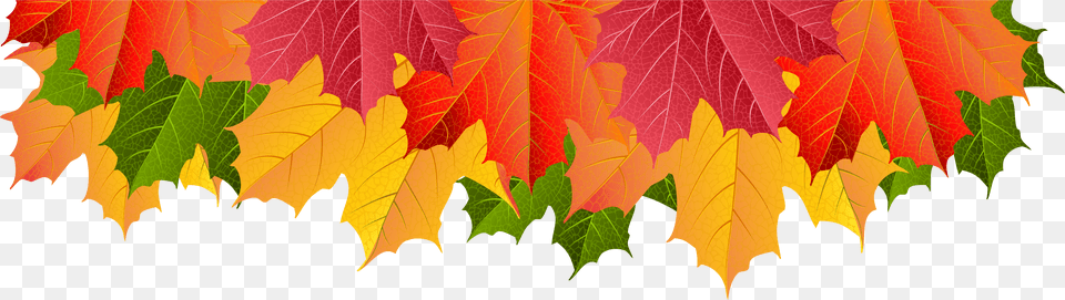 Clip Art Leaf For Fall Leaves Border Transparent, Advertisement, Poster Free Png