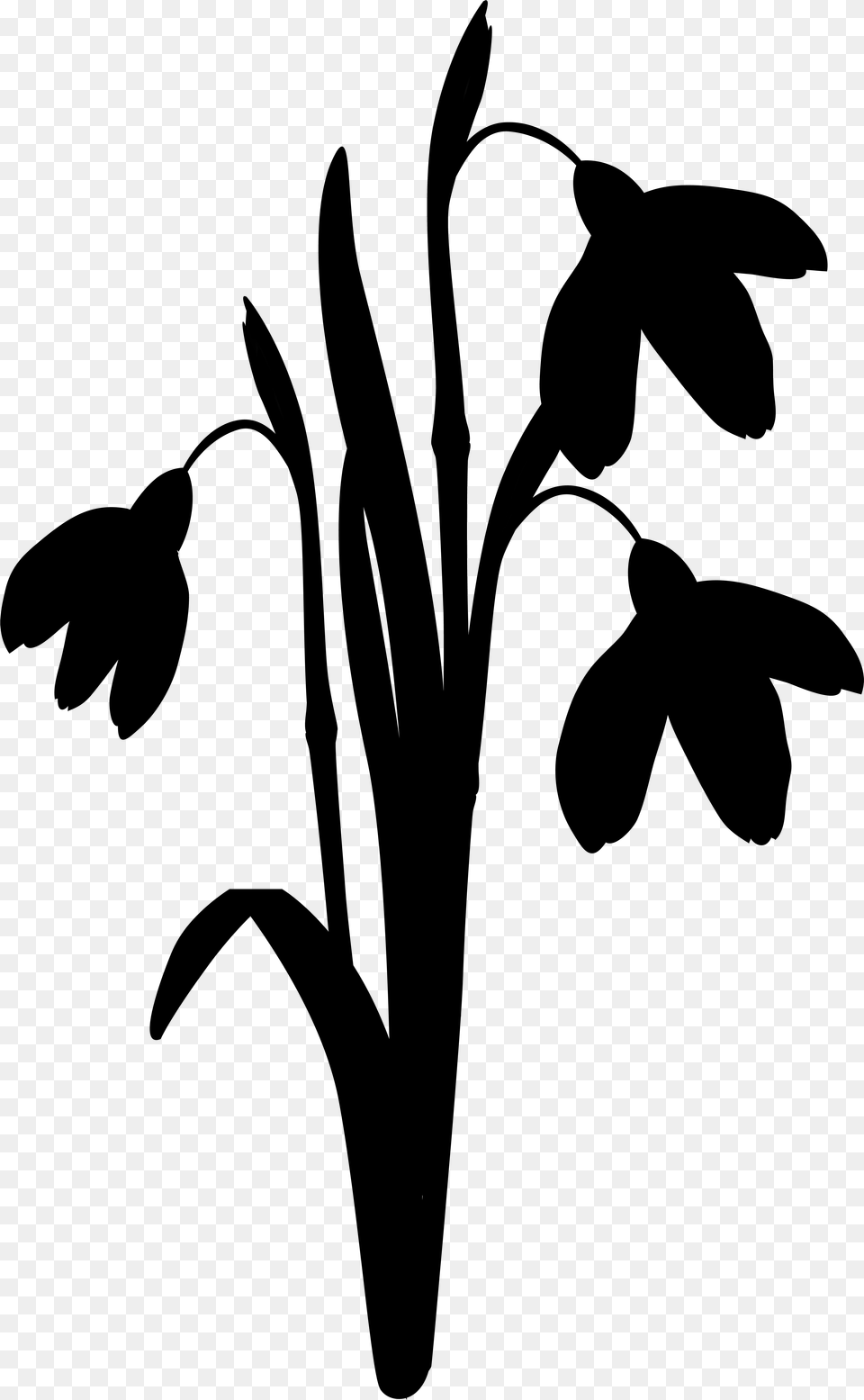Clip Art Leaf Silhouette Line Plant Stem Illustration, Gray Free Png Download