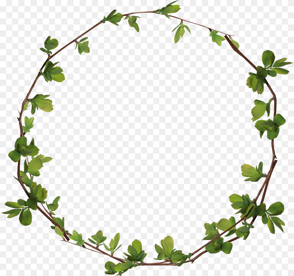 Clip Art Leaves Ring Leaves Circle, Oval, Accessories, Wreath Png