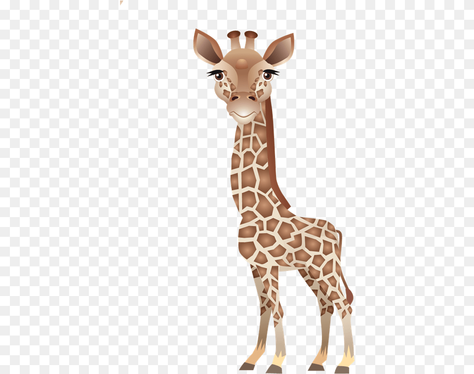 Clip Art Leopard About Giraffes Northern Baby Giraffe, Animal, Mammal, Wildlife Png