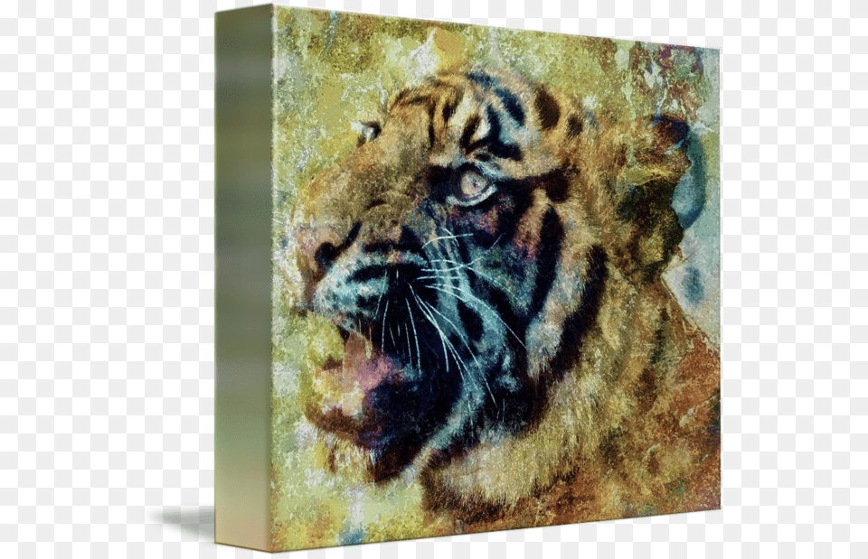 Clip Art Library Library By Lisa Siberian Tiger, Animal, Wildlife, Mammal Free Transparent Png