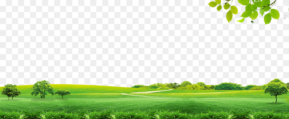 Clip Art Library Stock Icon Material Transprent, Field, Plant, Outdoors, Grass Free Transparent Png