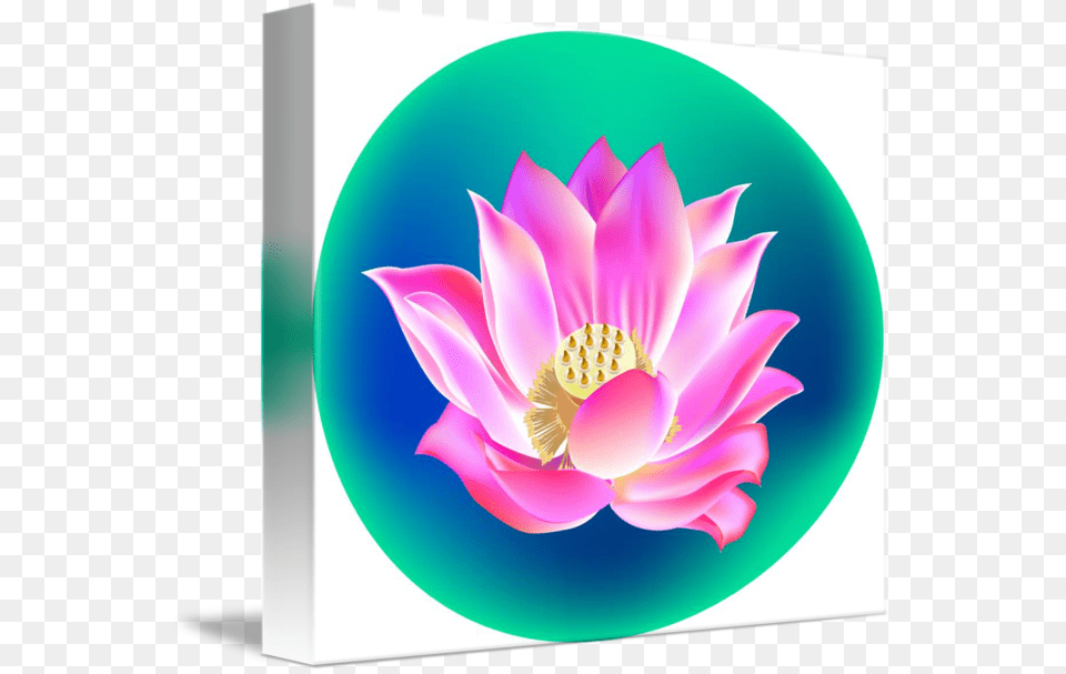 Clip Art Lotus Flower Pictures Lotus Flower Clip Art, Dahlia, Petal, Plant, Lily Free Png