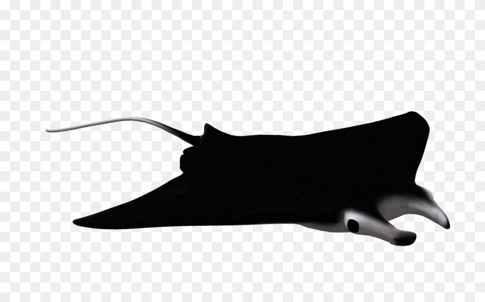 Clip Art Manta Ray, Animal, Fish, Manta Ray, Sea Life Free Png