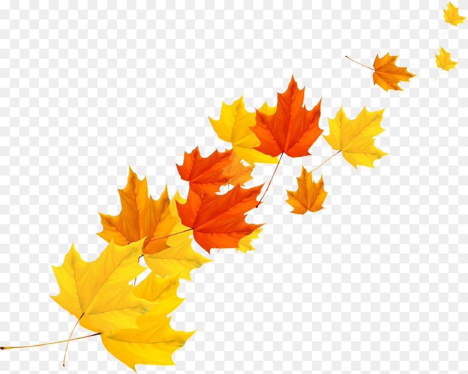 Clip Art Maple Autumn Transprent Vector Autumn Leaves, Leaf, Plant, Tree, Maple Leaf Png