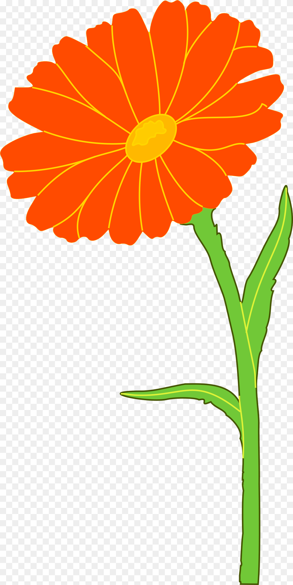Clip Art Marigold Clip Art Marigold Clipart, Daisy, Flower, Petal, Plant Free Png