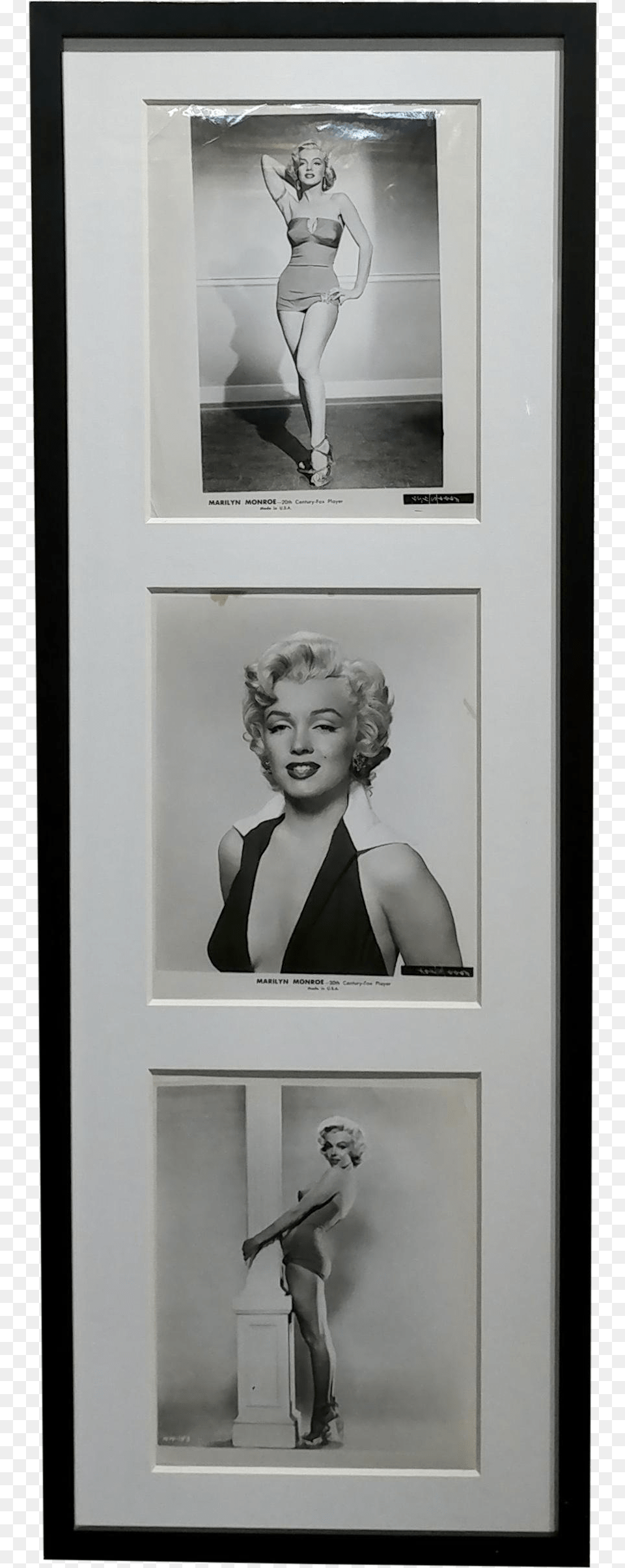 Clip Art Marilyn Monroe In Coffin Marilyn Monroe, Adult, Person, Woman, Female Free Png