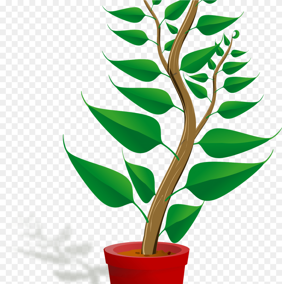 Clip Art Mehmetcetinsozler Com Popular Categories Love Plant Clipart, Leaf, Tree, Flower, Flower Arrangement Png