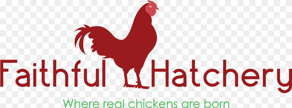 Clip Art Minecraft Hatchery Rooster Rooster, Animal, Bird, Chicken, Fowl Free Transparent Png