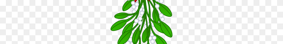Clip Art Mistletoe Clip Art, Green, Herbal, Herbs, Plant Free Transparent Png