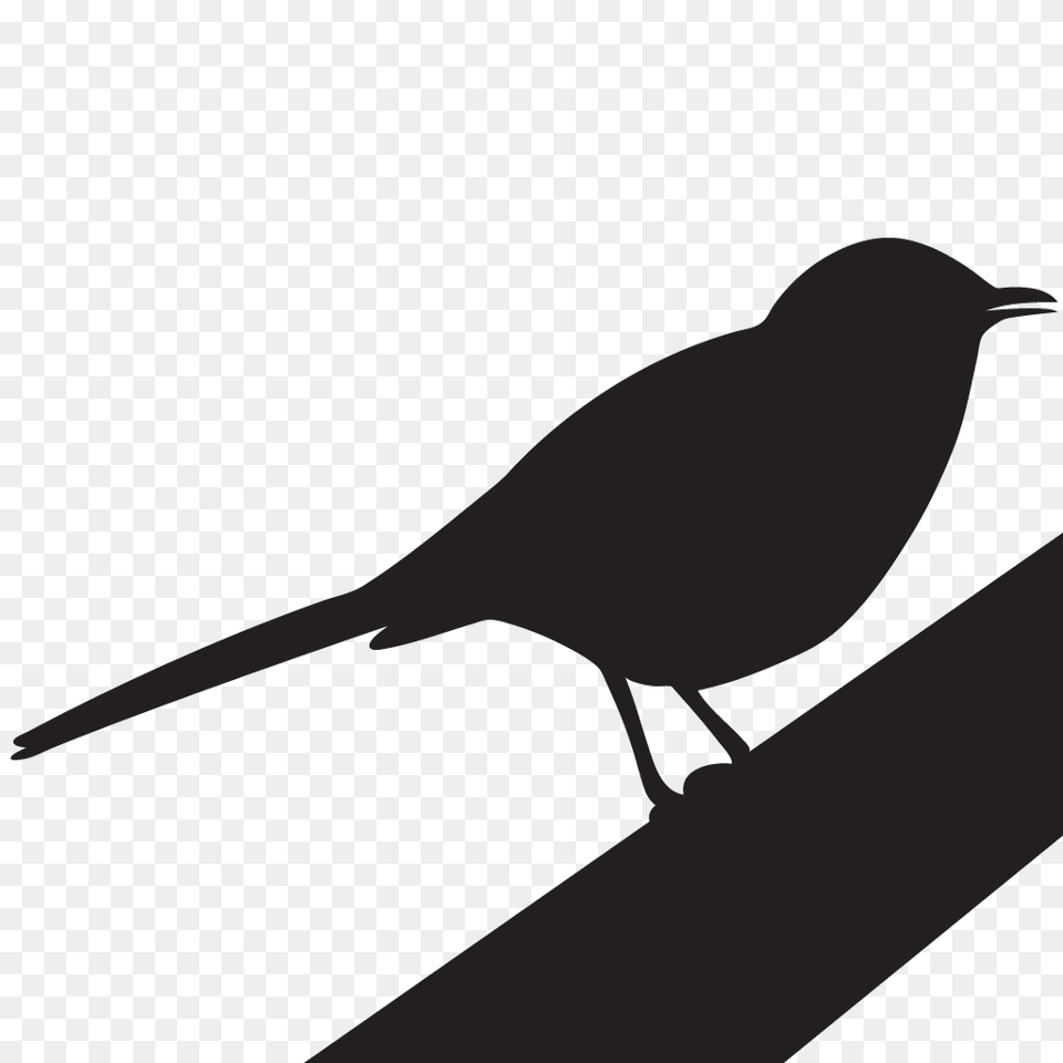 Clip Art Mocking Bird Winging, Animal, Blackbird, Silhouette Free Png Download