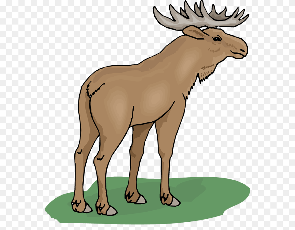 Clip Art Moose, Animal, Deer, Mammal, Wildlife Png