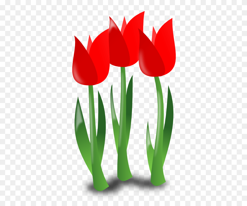 Clip Art Mothers Day Cliparts, Flower, Plant, Tulip Free Png Download