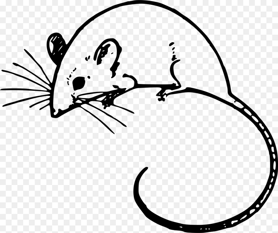 Clip Art Mouse, Gray Png Image