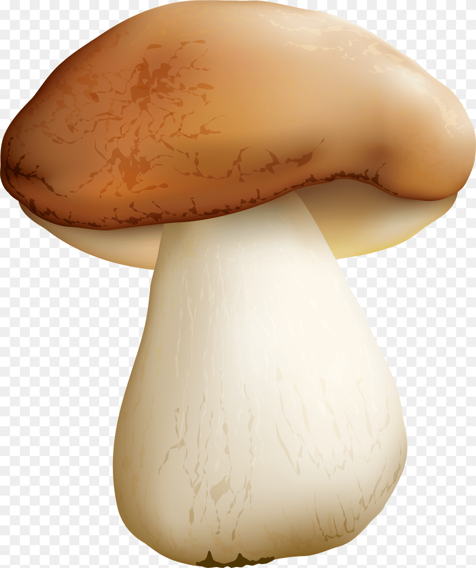 Clip Art Mushroom Clipart Mushroom, Fungus, Plant, Agaric, Amanita Free Png Download