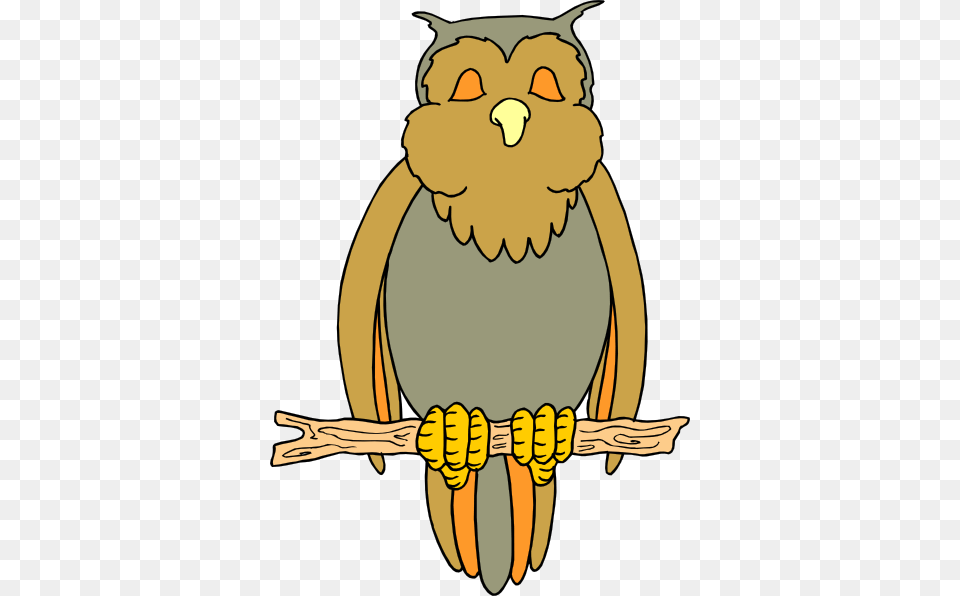 Clip Art Night Owl Image Information, Animal, Bear, Mammal, Wildlife Free Transparent Png