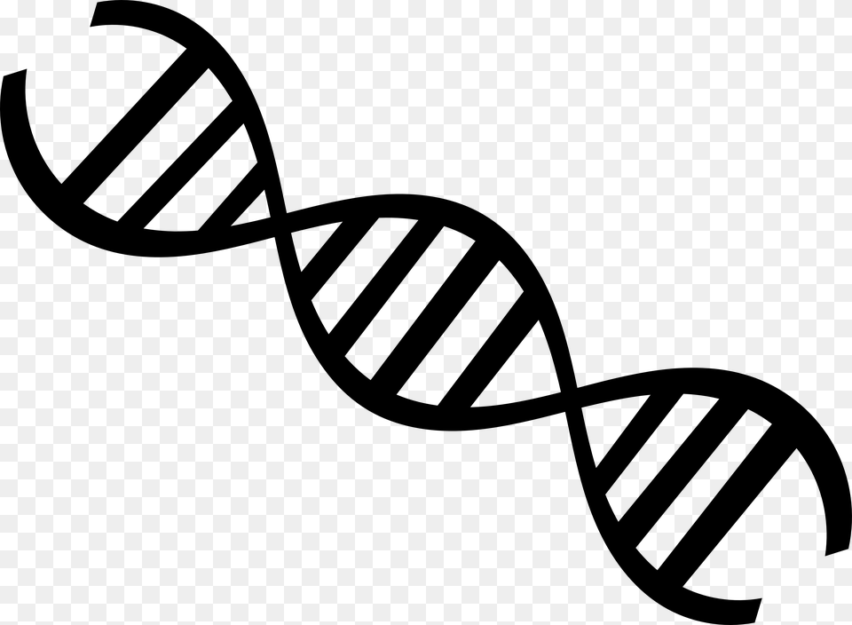 Clip Art Nucleic Acid Double Helix Dna Strand Black And White, Cutlery, Fork, Text Free Transparent Png