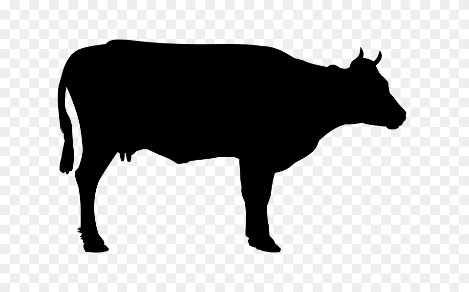 Clip Art Of A Cow, Gray Free Png Download