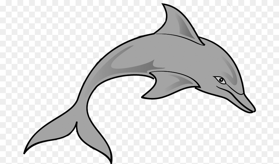 Clip Art Of A Dolphin, Animal, Mammal, Sea Life, Fish Free Transparent Png