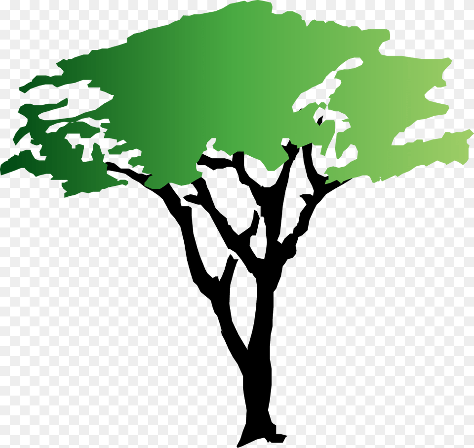 Clip Art Of A Tree, Green, Plant, Silhouette, Leaf Free Png Download