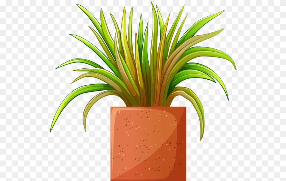 Clip Art Of Beautiful Plants For The Spring Garden Plant, Vase, Pottery, Potted Plant, Planter Png Image