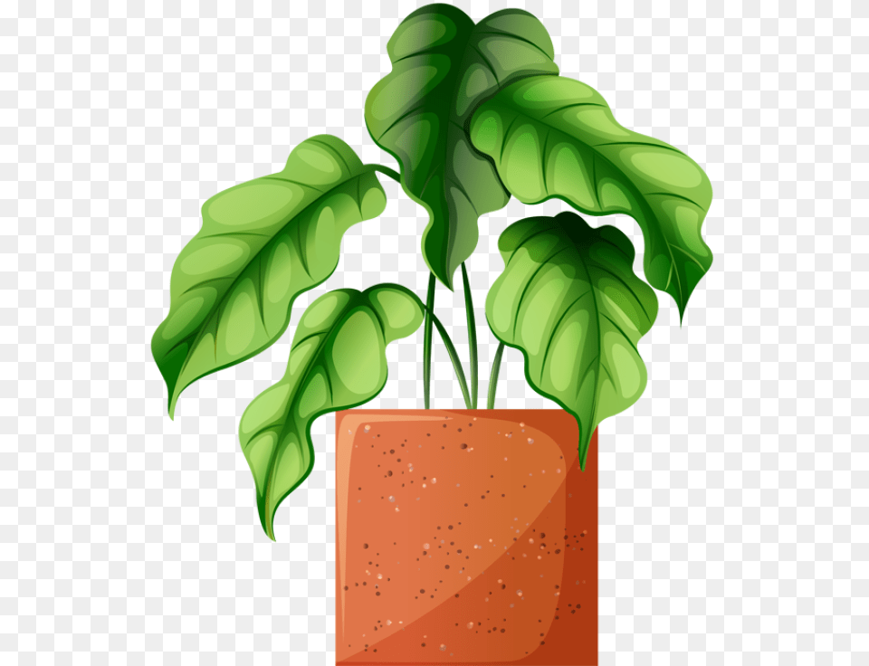 Clip Art Of Beautiful Plants For The Spring Garden Plant, Potted Plant, Pottery, Planter, Leaf Free Png Download
