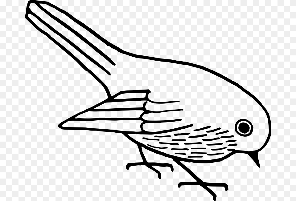 Clip Art Of Bird, Gray Free Transparent Png