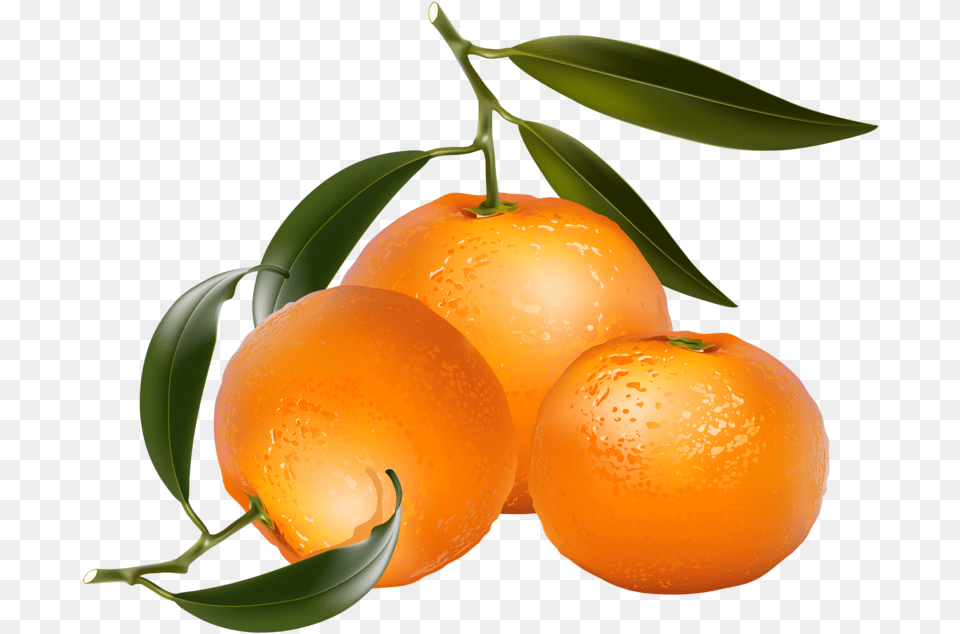 Clip Art Of Citrus Fruit, Citrus Fruit, Food, Grapefruit, Orange Free Png Download