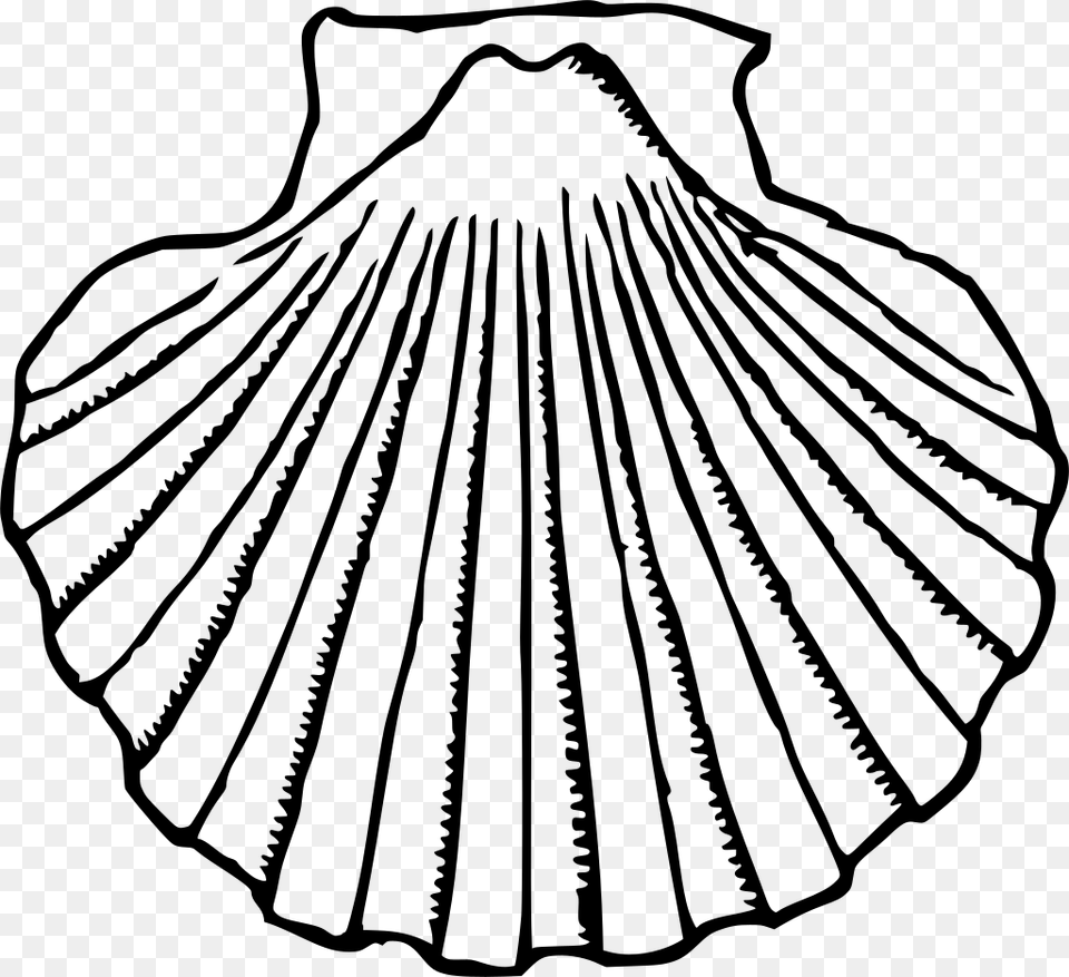 Clip Art Of Clams Scallop Black And White, Gray Png