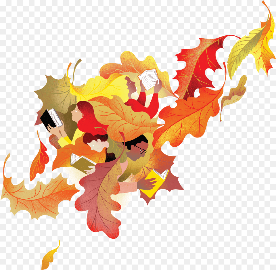 Clip Art Of Fall, Leaf, Plant, Tree, Maple Free Png