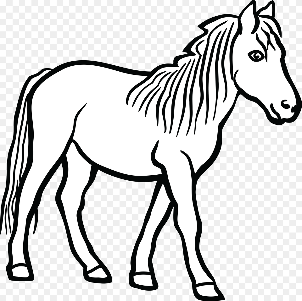Clip Art Of Horse, Stencil, Animal, Mammal, Colt Horse Png