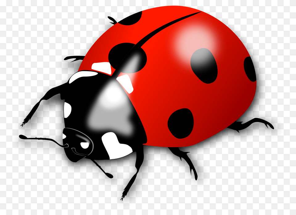 Clip Art Of Lady Bird Free Png Download