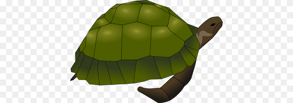 Clip Art Of Large Old Turtle In Green And Brown, Animal, Reptile, Sea Life, Tortoise Png Image