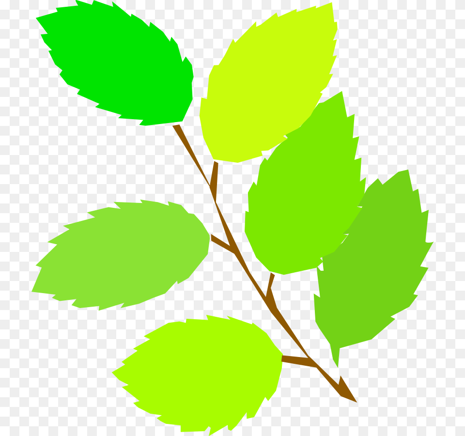 Clip Art Of Nature, Leaf, Plant, Person Png Image