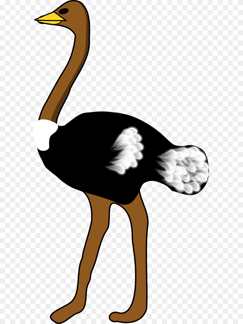 Clip Art Of Ostrich, Animal, Bird, Person, Beak Png