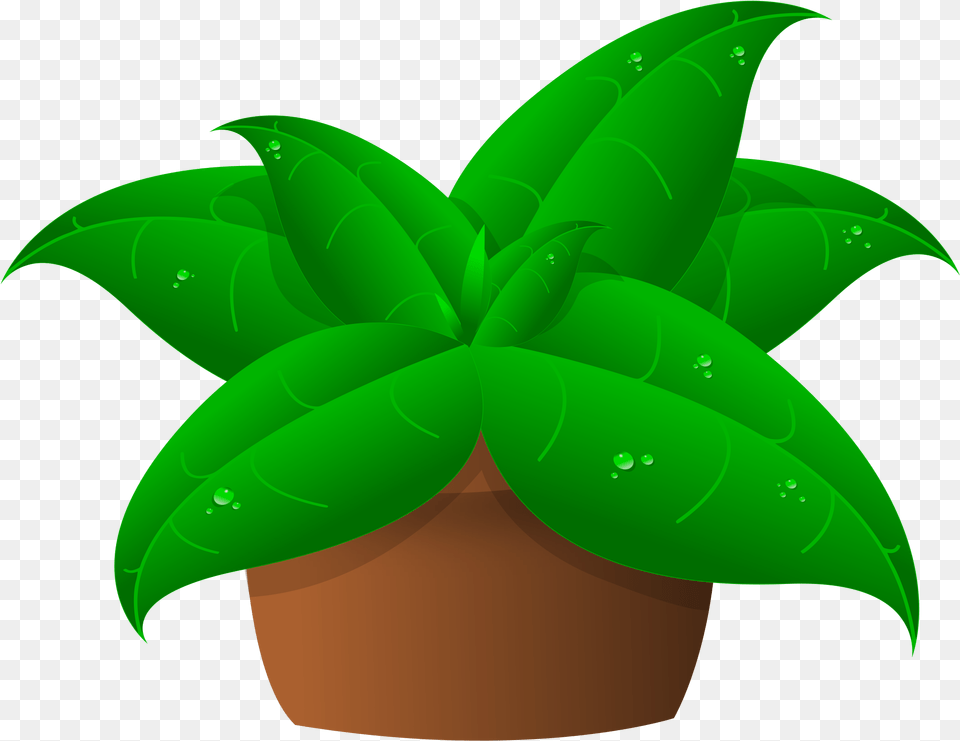 Clip Art Of Plant, Green, Leaf, Potted Plant, Animal Free Png Download