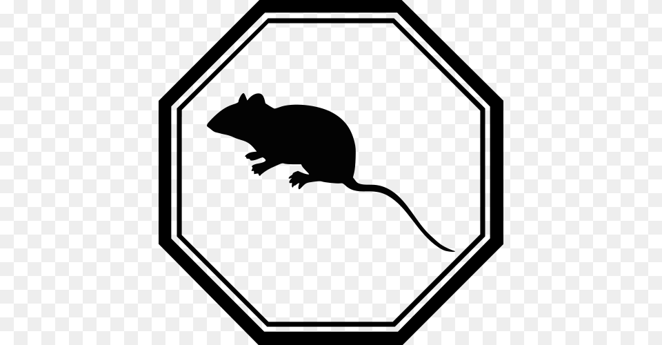 Clip Art Of Rat, Computer Hardware, Electronics, Hardware, Mouse Free Png