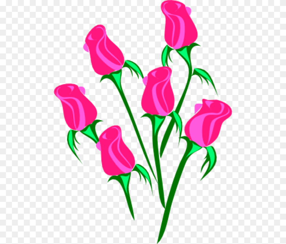 Clip Art Of Roses, Flower, Plant, Rose, Tulip Free Png