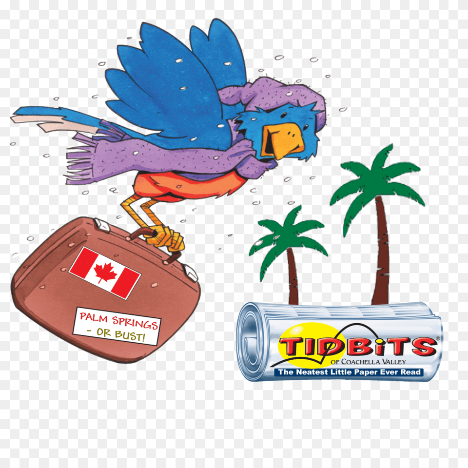 Clip Art Of Snow Bird, First Aid, Can, Face, Head Free Png
