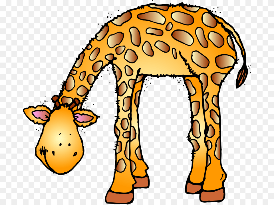 Clip Art Of Zoo, Adult, Person, Woman, Female Png