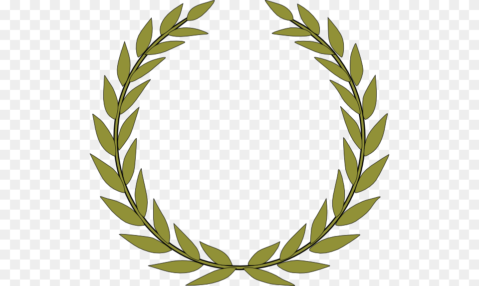 Clip Art Olive Branch, Leaf, Plant, Oval, Wreath Free Png Download