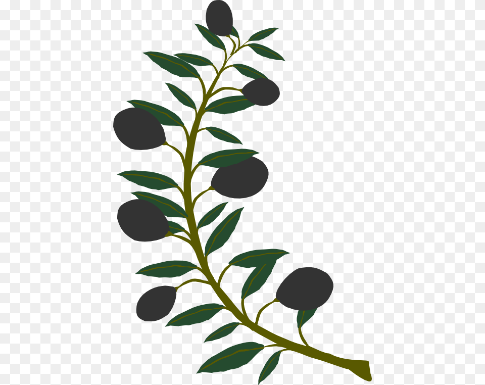 Clip Art Olive Branch Border, Berry, Blueberry, Food, Fruit Free Png