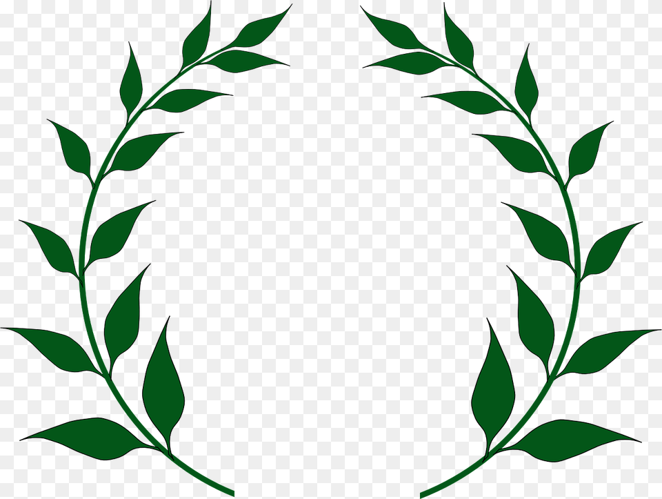 Clip Art Olive Branches, Green, Plant, Leaf, Pattern Png Image